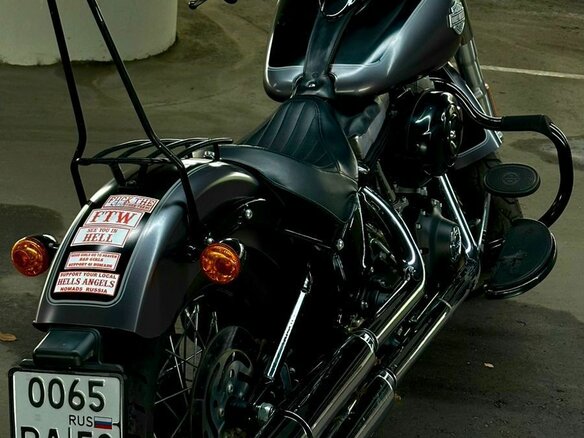 2014 Harley-Davidson Softail Slim, серый, 950000 рублей - вид 10