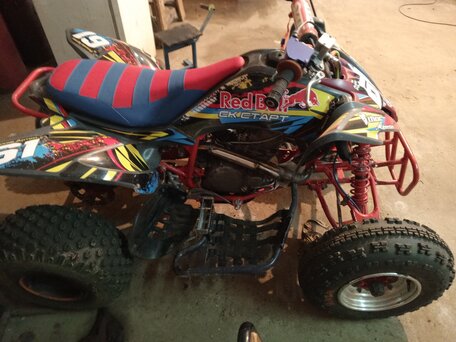 2009 Yamaha Raptor YFM250, красный, 250000 рублей, вид 2