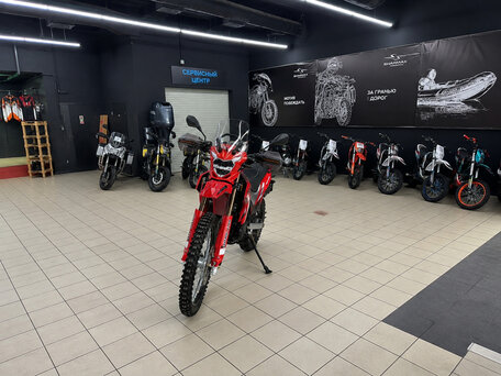 2026 Motoland Enduro 250, красный, 137500 рублей, вид 3