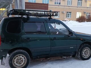 2004 Chevrolet Niva I, зелёный, 520000 рублей, вид 5