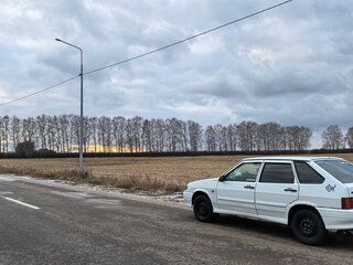 2012 Lada (ВАЗ) 2114, белый, 250000 рублей, вид 4