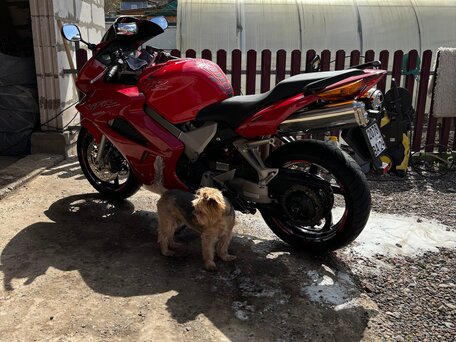 2002 Honda VFR 800, красный, 527000 рублей, вид 2