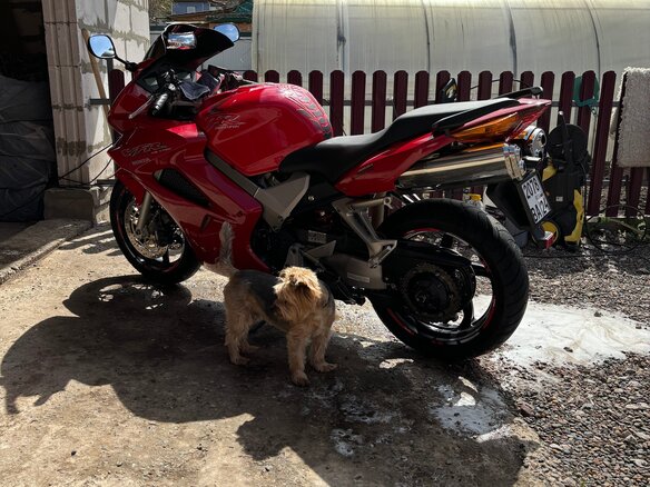 2002 Honda VFR 800, красный, 527000 рублей - вид 1