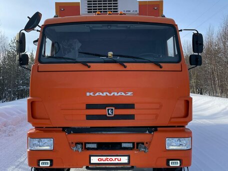 2017 КамАЗ 43118, красный, 5500000 рублей, вид 1
