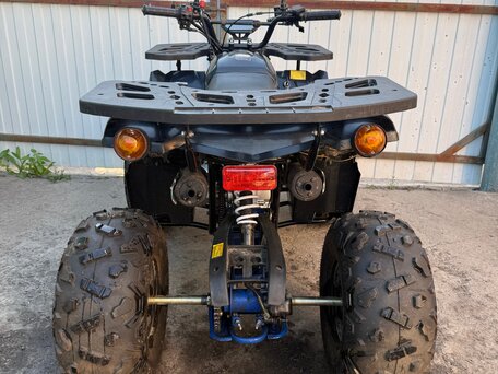 2023 Motoland ATV 125 Fox, чёрный, 80000 рублей, вид 4