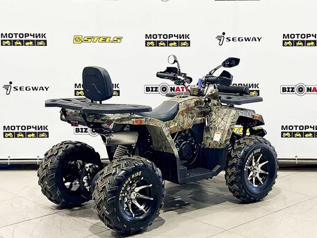 2026 Motoland Wild Track 200 X Pro, бежевый, 219000 рублей, вид 5