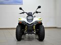 2017 Stels ATV-110, белый - вид 2