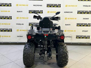 2025 Bison Hammer 250 PRO, чёрный, 252990 рублей, вид 4