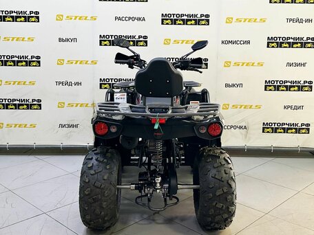 2025 Bison Hammer 250 PRO, чёрный, 252990 рублей, вид 4