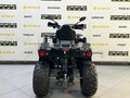 2025 Bison Hammer 250 PRO, чёрный - вид 3