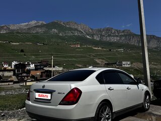 2005 Nissan Teana I (J31) Рестайлинг, белый, 550000 рублей, вид 5