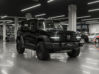 2024 Tank 300 I, чёрный, 4100000 рублей, вид 2