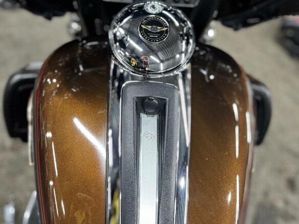 2013 Harley-Davidson Electra Glide, коричневый, 1120000 рублей - вид 23