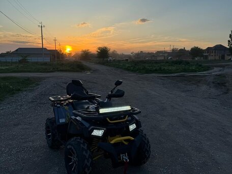 2022 Motoland Wild Track 200 X Pro, чёрный, 190000 рублей, вид 1