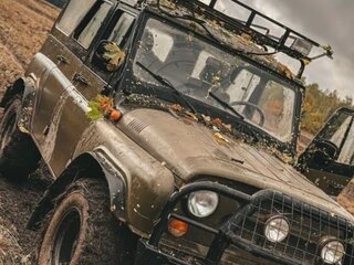2005 УАЗ 31519, коричневый, 250000 рублей, вид 2