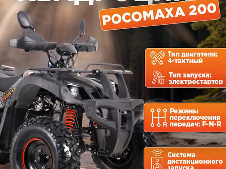 2025 Другие ATV (другие), золотистый, 215000 рублей, вид 1