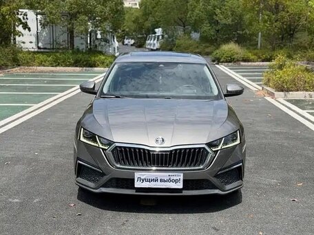 2022 Skoda Octavia IV (A8), серый, 1600077 рублей, вид 2