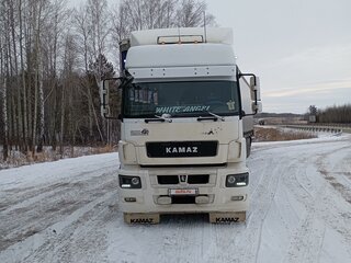 2016 КамАЗ 5490, белый, 1950000 рублей, вид 1
