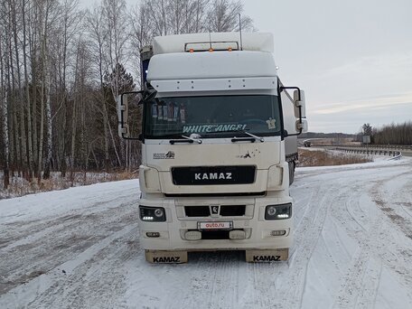 2016 КамАЗ 5490, белый, 1950000 рублей, вид 1