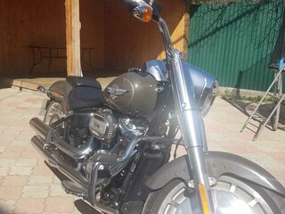 2018 Harley-Davidson Fat Boy, серый, 3200000 рублей, вид 2