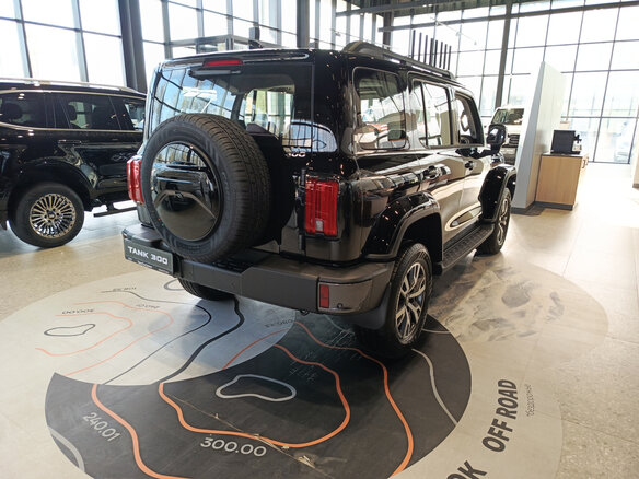 2026 Tank 300 I, чёрный, 4799000 рублей - вид 5