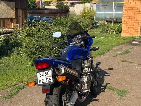 2001 Honda CB 600F Hornet, синий, 375000 рублей, вид 3