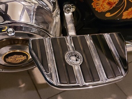 2013 Harley-Davidson Electra Glide, коричневый, 2800000 рублей, вид 2