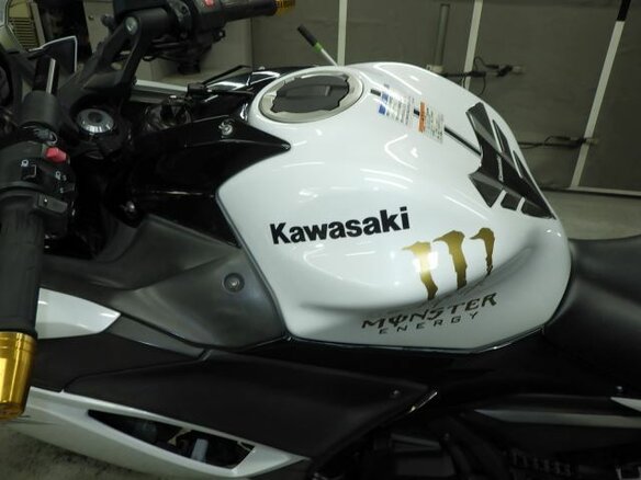 2020 Kawasaki Ninja 650, белый, 700000 рублей - вид 10
