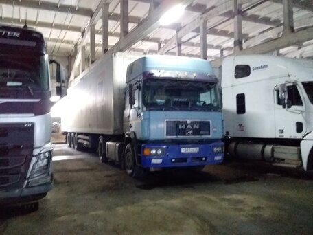 1995 MAN F 2000, синий, 900000 рублей, вид 4