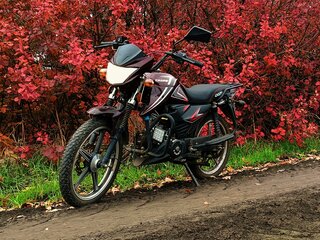 2025 Racer Alpha, красный, 70000 рублей, вид 1