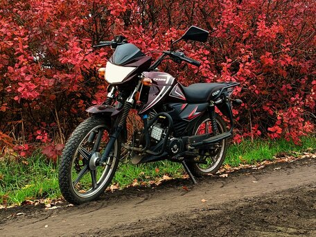 2025 Racer Alpha, красный, 70000 рублей, вид 1