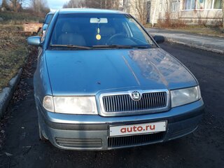 2008 Skoda Octavia I (A4) Рестайлинг, серый, 299000 рублей, вид 2