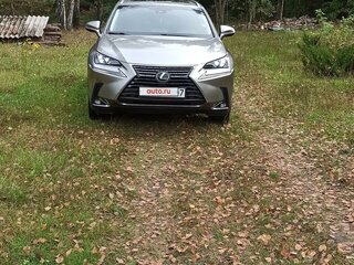 2019 Lexus NX 300 I Рестайлинг, серебристый, 4309218 рублей, вид 2