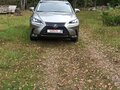 2019 Lexus NX 300 I Рестайлинг, серебристый, 4309218 рублей - вид 1