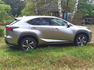 2019 Lexus NX 300 I Рестайлинг, серебристый, 4309218 рублей, вид 5