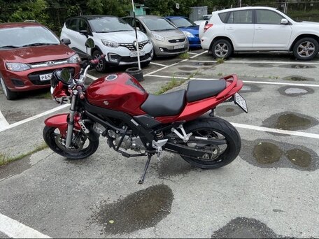 2007 Suzuki SV 650, красный, 450000 рублей, вид 4