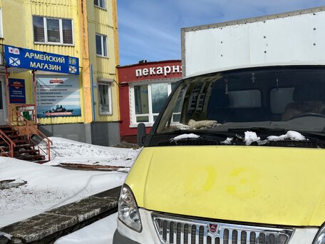 2003 ГАЗ ГАЗель (3302), белый, 300000 рублей, вид 2