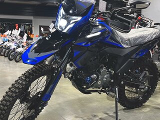 2024 Racer XSR, синий, 132000 рублей, вид 4