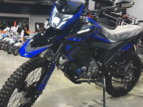 2024 Racer XSR, синий, 132000 рублей, вид 4