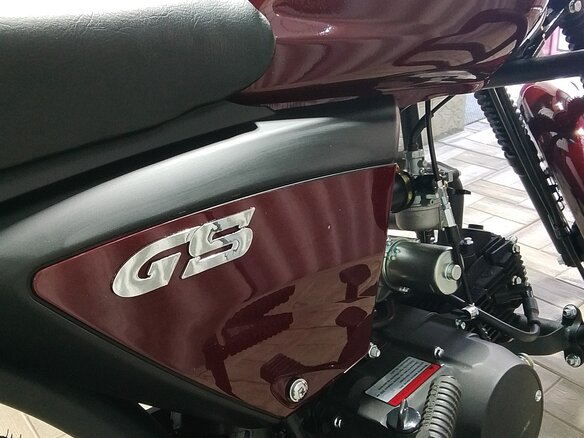 2025 Racer RC110N, пурпурный, 65000 рублей - вид 5