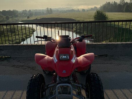 2004 Honda TRX 250, красный, 350000 рублей, вид 1