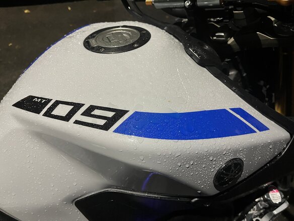 2015 Yamaha MT-09 (FZ-09), серый, 620000 рублей - вид 5