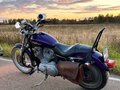 2007 Harley-Davidson Sportster 883, фиолетовый, 550000 рублей - вид 6