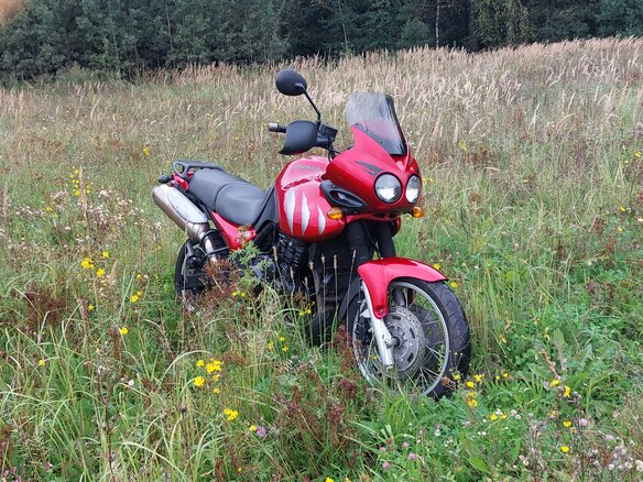 2002 Triumph Tiger 955i, пурпурный, 320000 рублей - вид 13