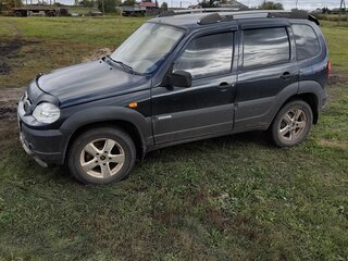 2009 Chevrolet Niva I, чёрный, 365000 рублей, вид 5