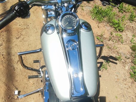 2005 Harley-Davidson Softail Custom, серебристый, 795000 рублей, вид 1