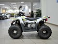 2017 Stels ATV-110, белый - вид 5