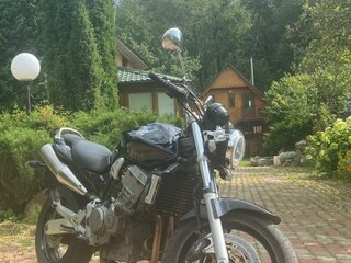 2003 Honda CB 900F Hornet, чёрный, 450000 рублей, вид 1