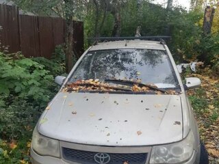 2007 FAW Vita, бежевый, 200000 рублей, вид 1