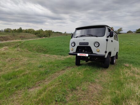 2012 УАЗ 3962, белый, 660000 рублей, вид 3